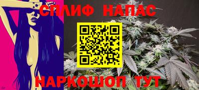 индика Кунгур