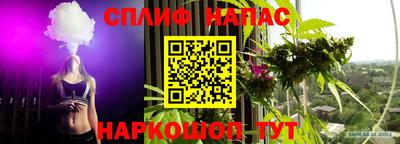 индика Кунгур
